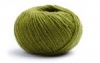 66 - Kiwi