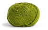 66 - Kiwi