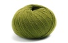 66 - Kiwi