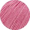 1431 - Rosa meliert