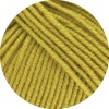 2062 - Senf