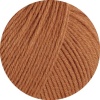 36 - Camel
