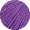 62 - Viola