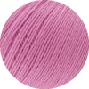 52 - Rosa