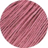 62 - Nelkenrosa
