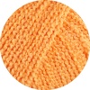 13 - Apricot