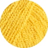14 - Gelb