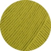 19 - Pistazie