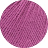 163 - Fuchsia