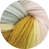 813 - Preeti (100g)