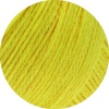 54 - Limette