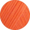 06 - Kürbis