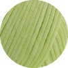 13 - Frühlingsgrün
