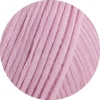 28 - Rosa