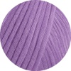 29 - Flieder