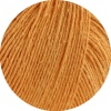 10 - Apricot