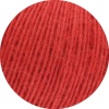 06 - Rot
