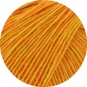80 - Dottergelb