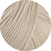 15 - Graubeige