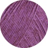 20 - Pflaume