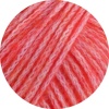 10 - Rosa/Hummer