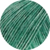 25 - Petrol meliert