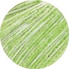 105 - Zartgrün/Laubgrün dégradé
