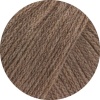 45 - Camel