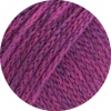 02 - Fuchsia