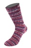 6302 - Fuchsia/Burgund/Ecru/Himmelblau/Dunkelbraun