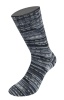 6303 - Silber-/Hell-/Mittel-/Dunkelgrau/Anthrazit/Schwarz