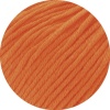 124 - Kürbis