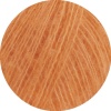 28 - Apricot