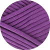 20 - Viola
