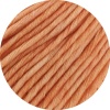 513 - Mandarin