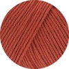 07 - Rostrot