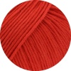19 - Rot