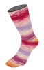 6204 - Bordeaux/Pink/Rosa/Creme/Lila/Magnolienlila/Orangebraun