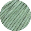 17 - Mint meliert