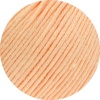 01 - Apricot
