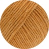 43 - Camel