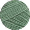 1377 - Graugrün (100g)