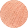 199 - Apricot