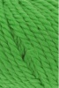 1000.0016 - Gras