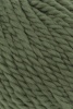 1000.0118 - Spirulina