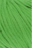 1013.0017 - Cucumber