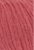 1013.0029 - Coral