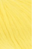 1013.0049 - Sunflower