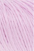 1014.0009 - Tulip
