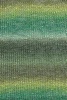 1066.0017 - grün